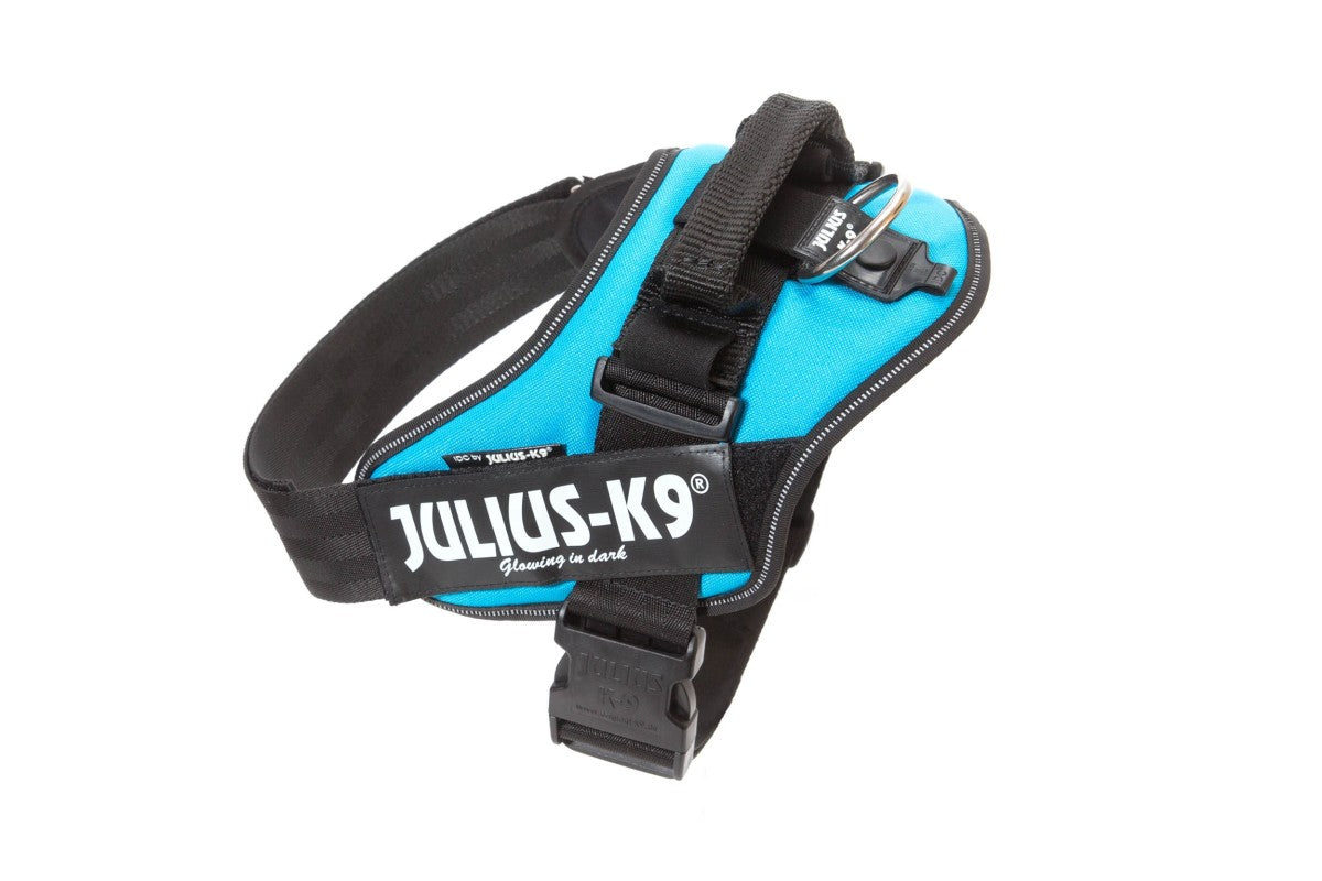 IDC Powerharness - Aquamarine / Size 2