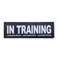 Thumbnail for IN TRAINING PATCH - LARGE