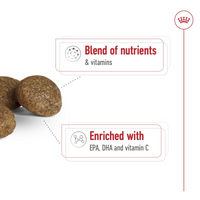 Thumbnail for Size Health Nutrition XS Adult 8+ 1.5 KG