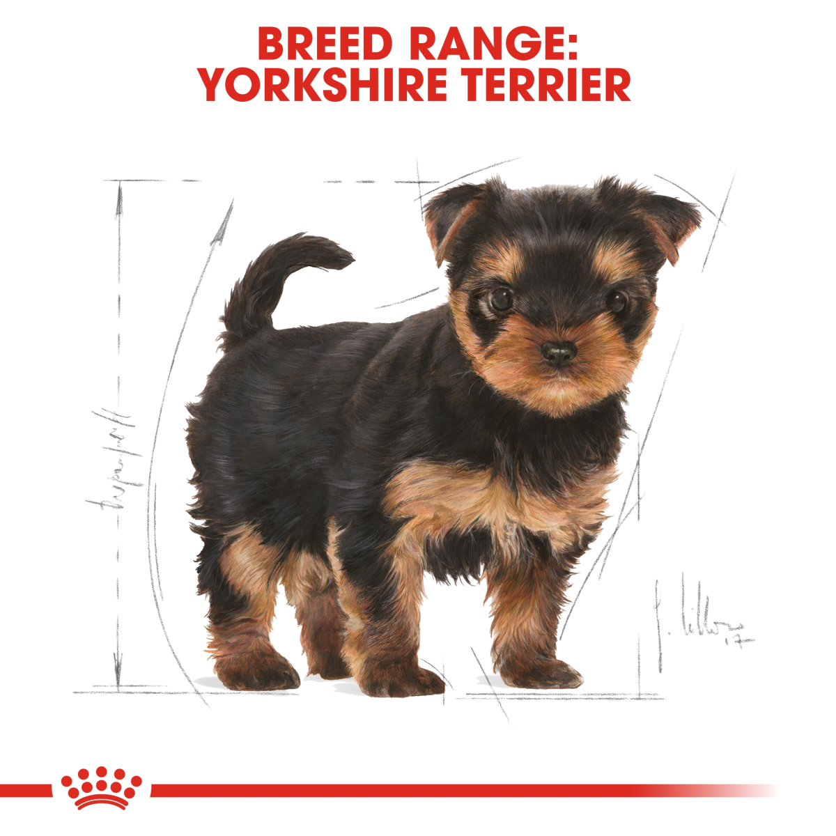 Breed Health Nutrition Yorkshire Puppy 500g