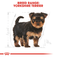 Thumbnail for Breed Health Nutrition Yorkshire Puppy 500g