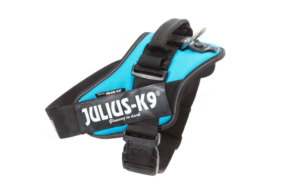 IDC Powerharness - Aquamarine / Size 2