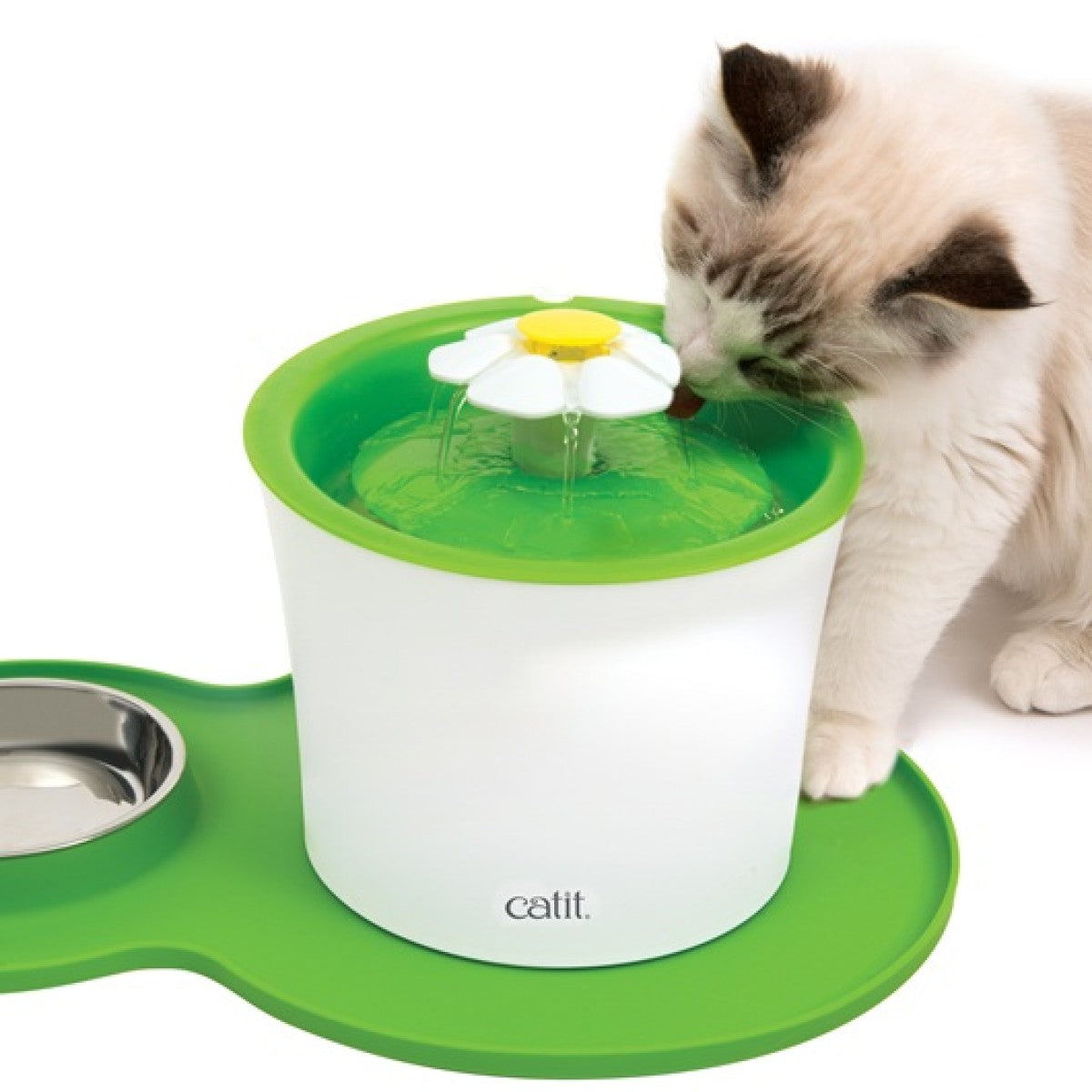 Catit Peanut Placemat - Medium/Green