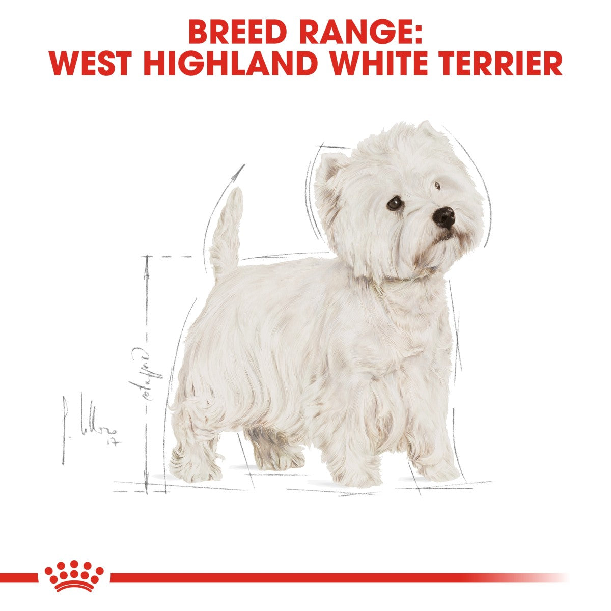 Breed Health Nutrition Westie Adult 3 KG