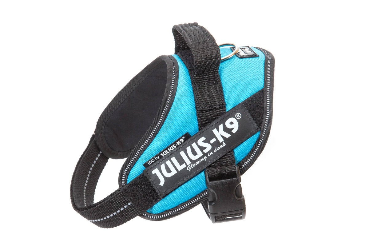 IDC Powerharness - Aquamarine / Size Mini