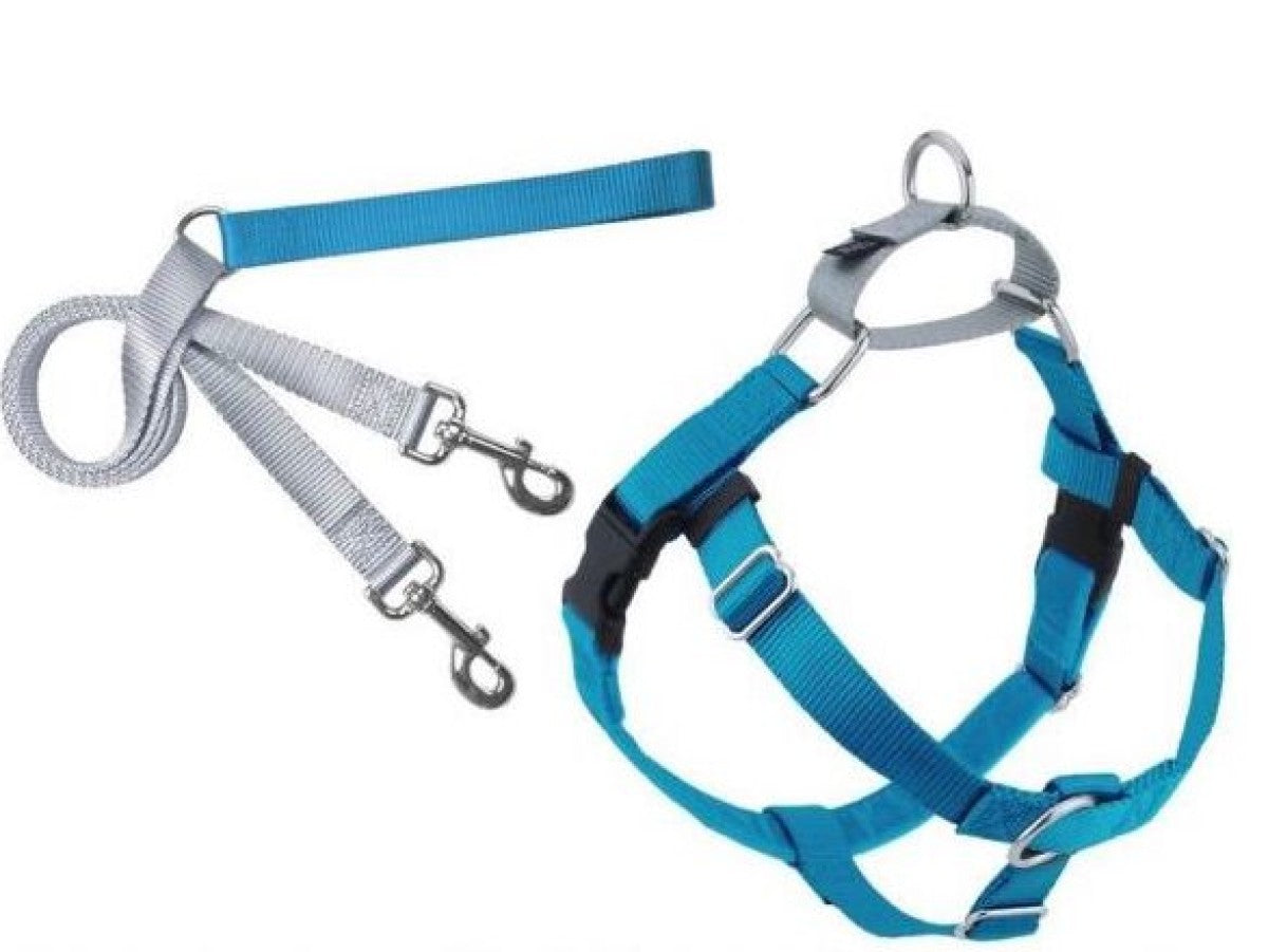 Freedom No-Pull Harness and Leash - Turquoise / Large 1"