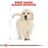 Thumbnail for Breed Health Nutrition Golden Retriever Puppy 12 KG