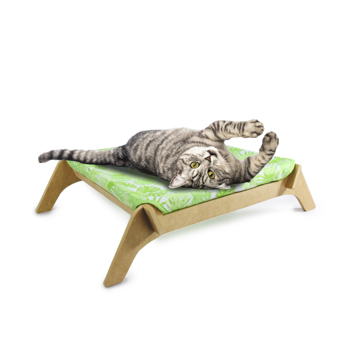 Modern Cat-Cat Lounge - Green