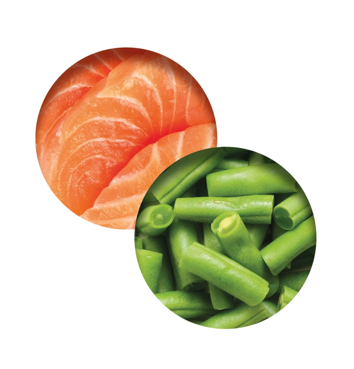 Catit Fish Dinner, Salmon & Green Beans 80 g, 6pcs/box