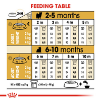 Thumbnail for Breed Health Nutrition Yorkshire Puppy 500g