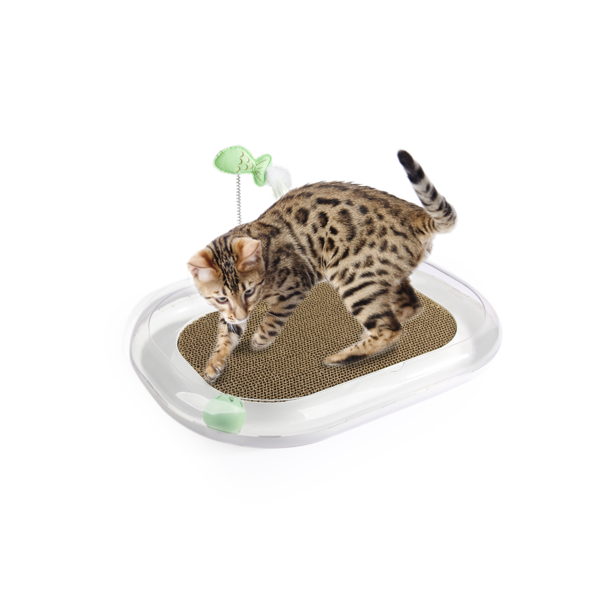 Cat Runway Scratcher