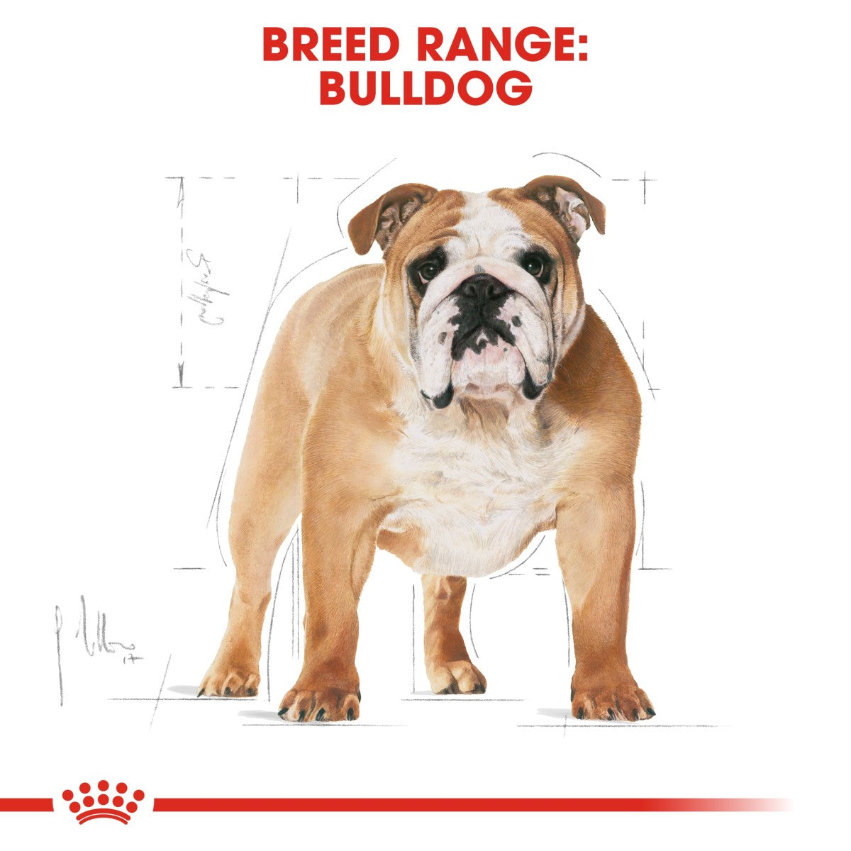 Breed Health Nutrition Bulldog Adult 12 KG