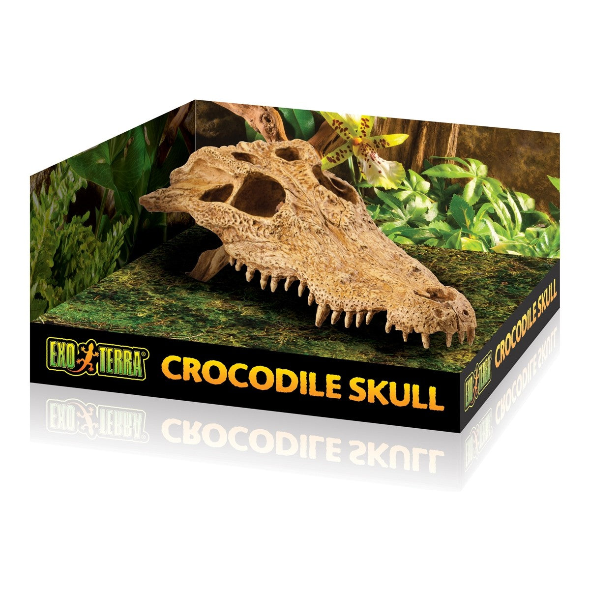 Exo Terra Crocodile Skull