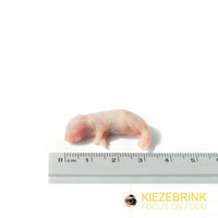 Thumbnail for Mouse Pinks 1-4g, 1kg pack