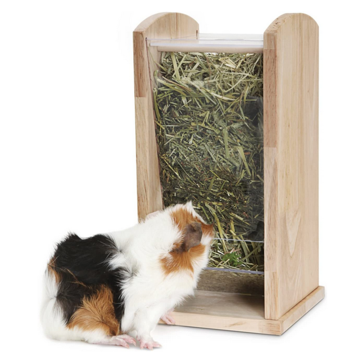 Living World Green Wood & Acrylic Hay Rack, Medium