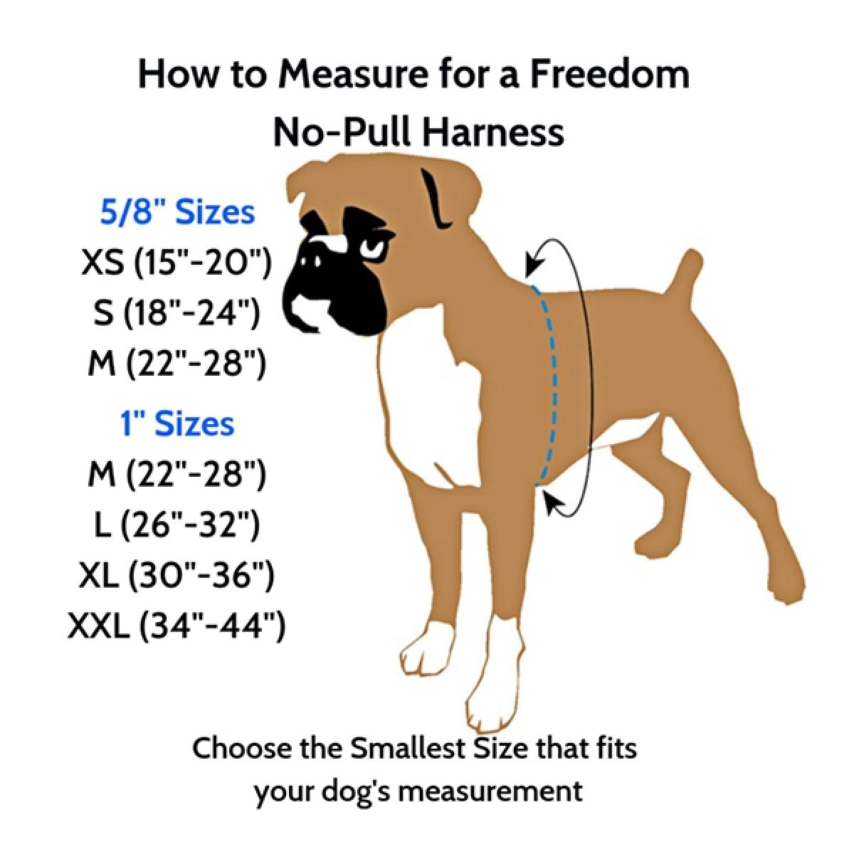 Freedom No-Pull Harness and Leash - Black / XXL 1"