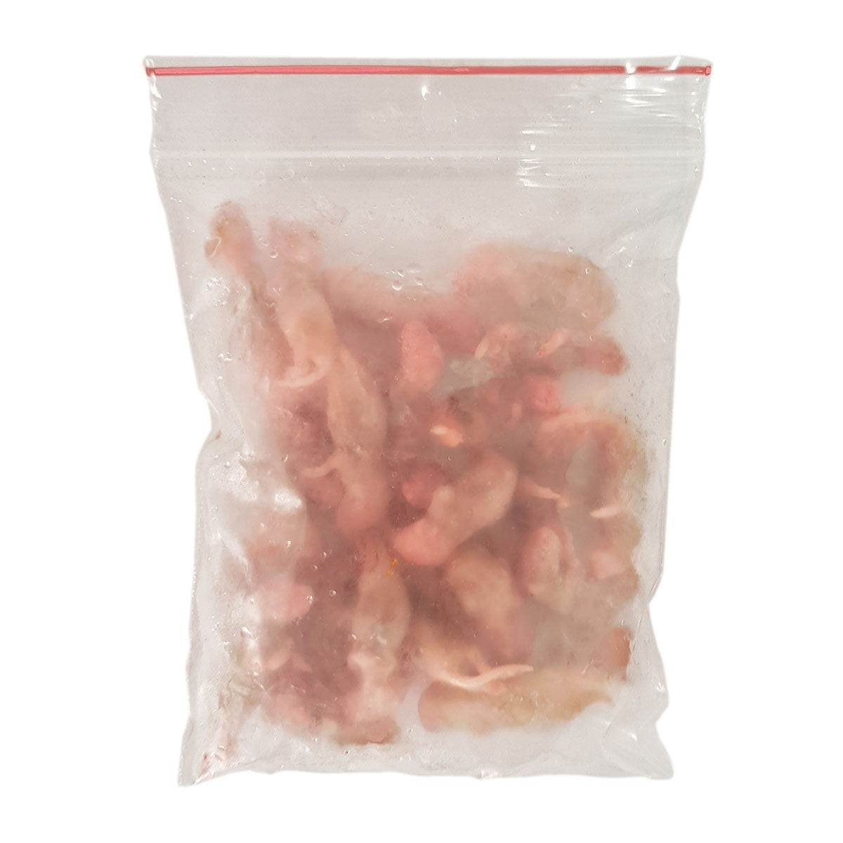 Mouse Pups 2g ECO PACK 25pcs