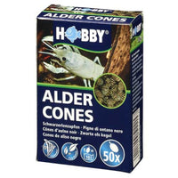 Thumbnail for Alder Cones (50 pcs)