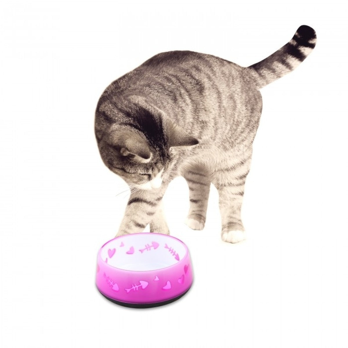 Cat Love Bowl - Pink