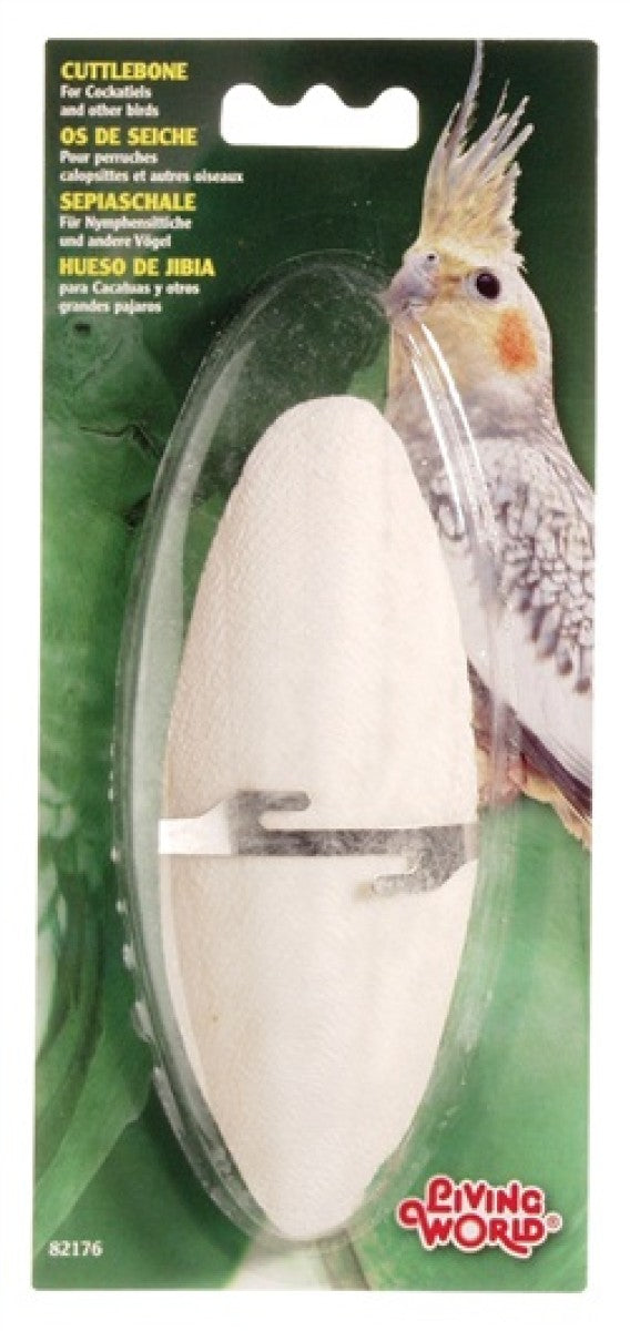 Cuttlebone White -  Large