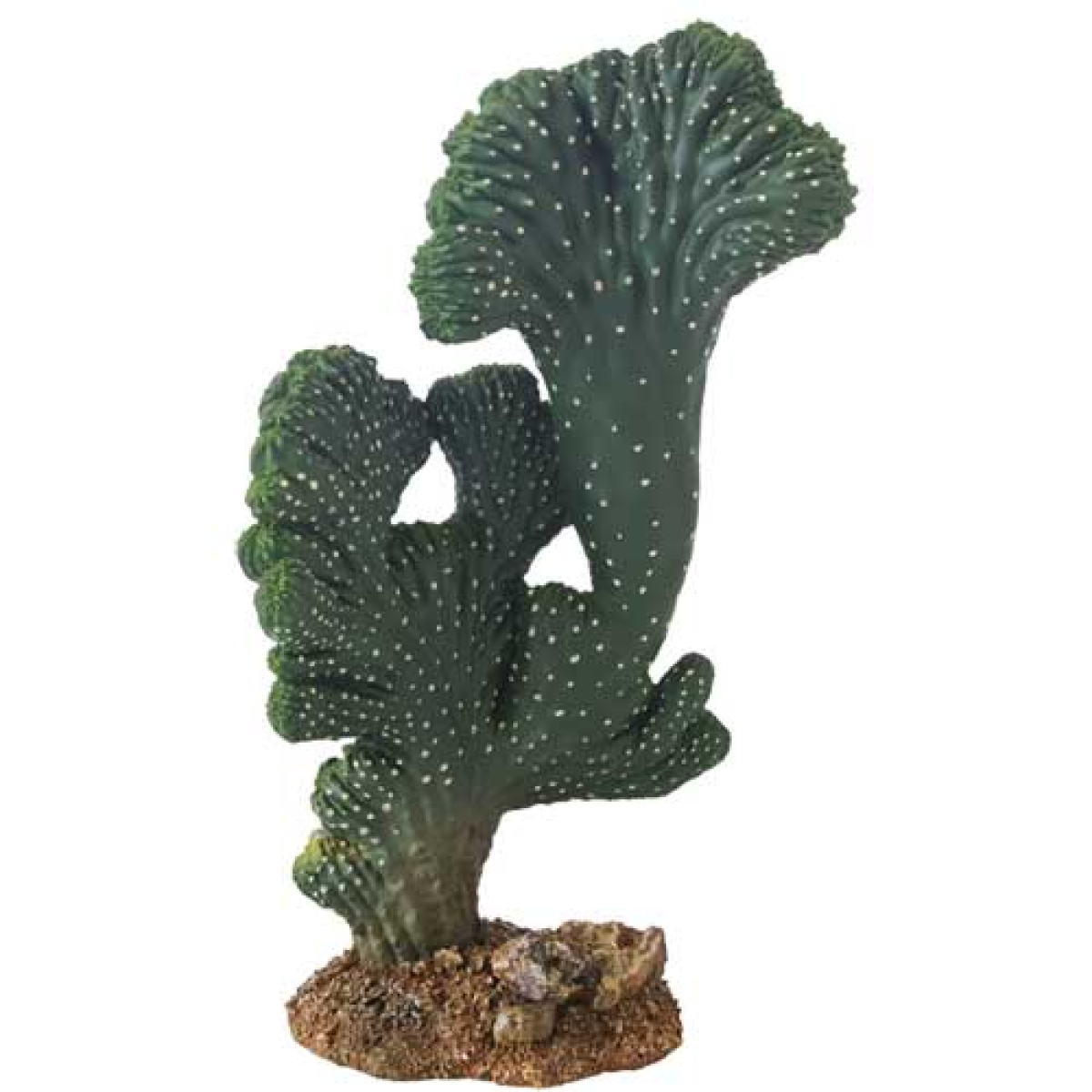 Cactus Victoria 22 cm