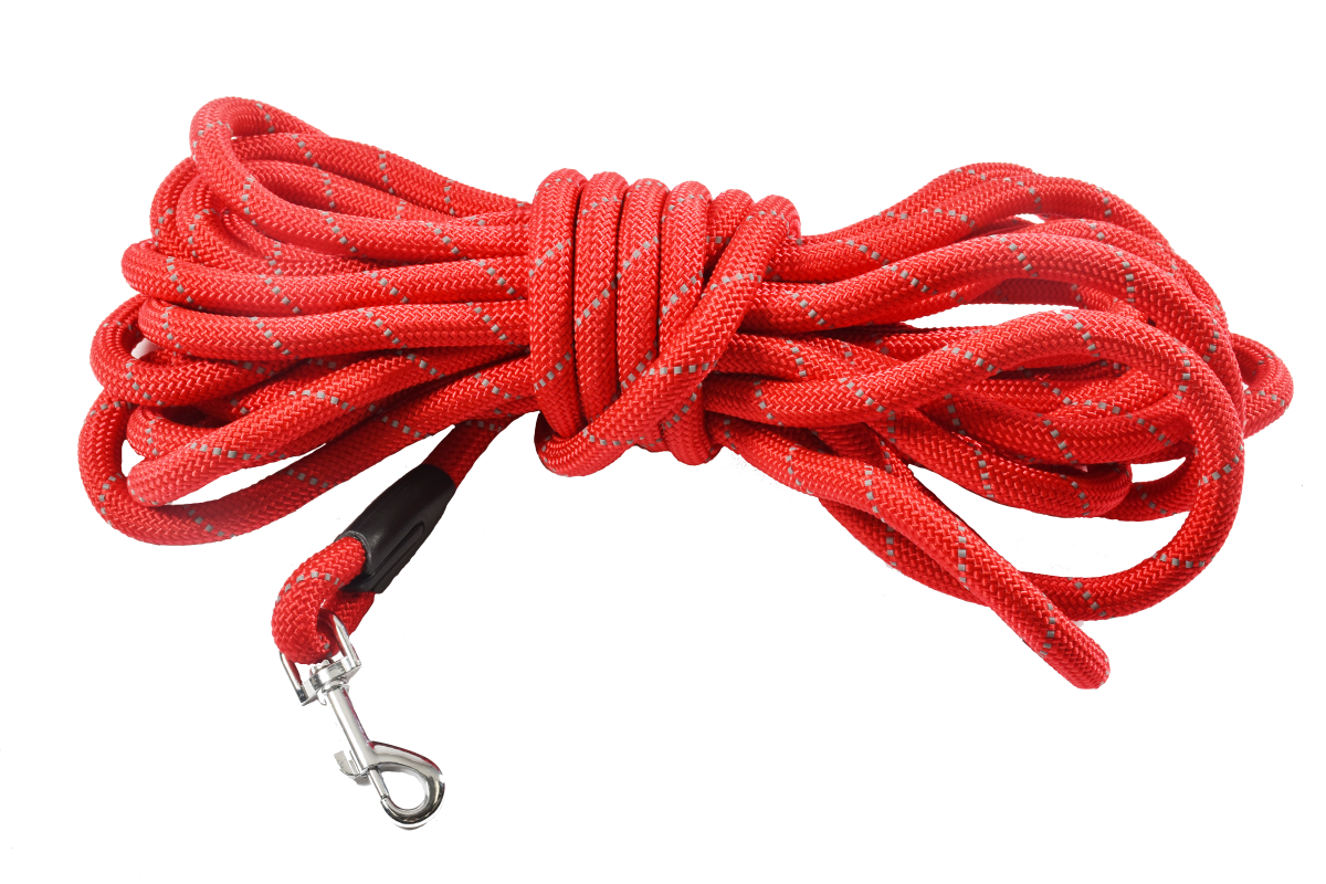 Leash 10M Walk Red