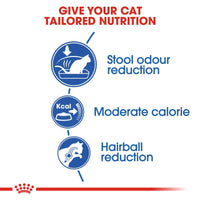 Thumbnail for Feline Health Nutrition Indoor 4 KG