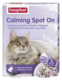 Thumbnail for Calming Spot on Cat