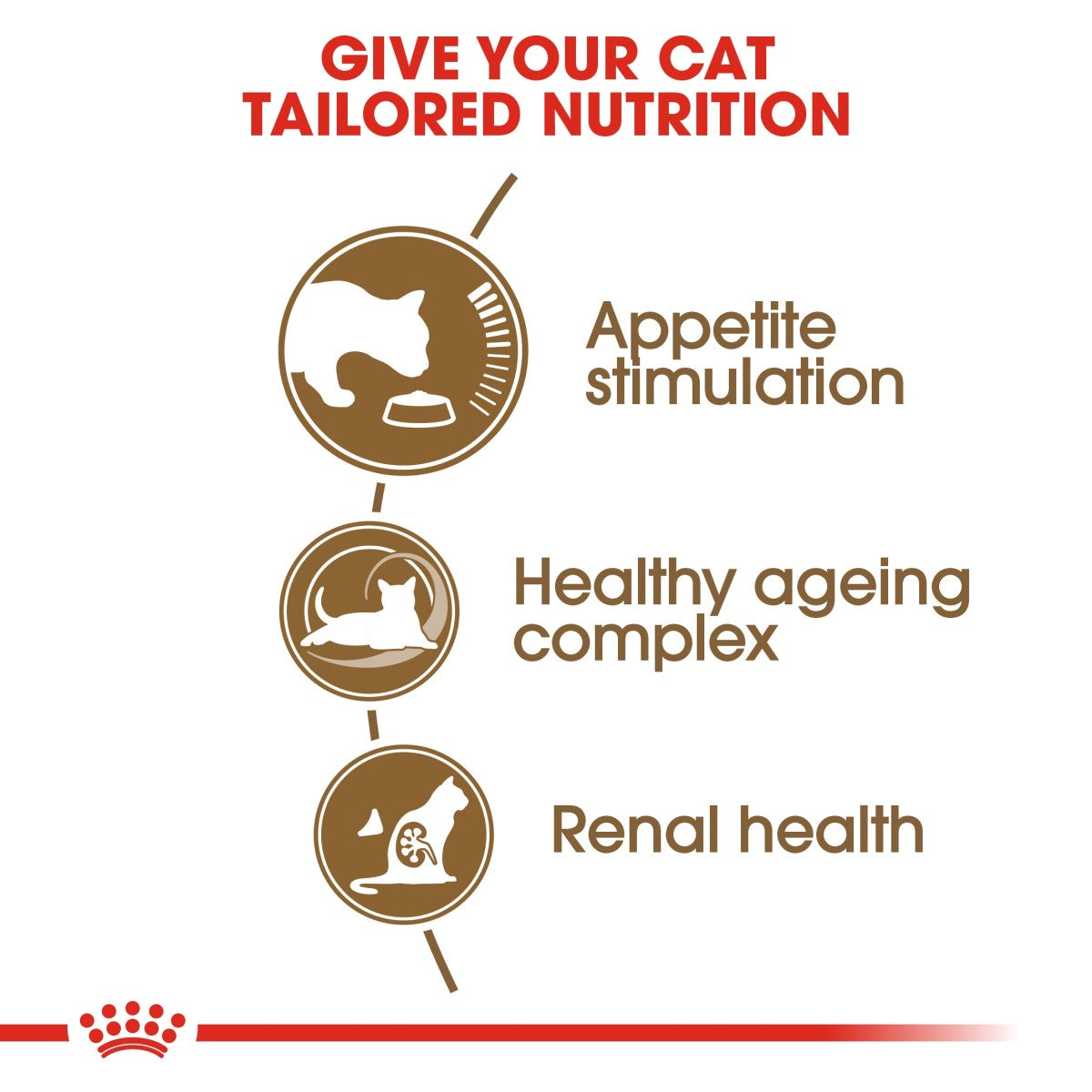 Feline Health Nutrition Ageing 12+ Years 2 KG