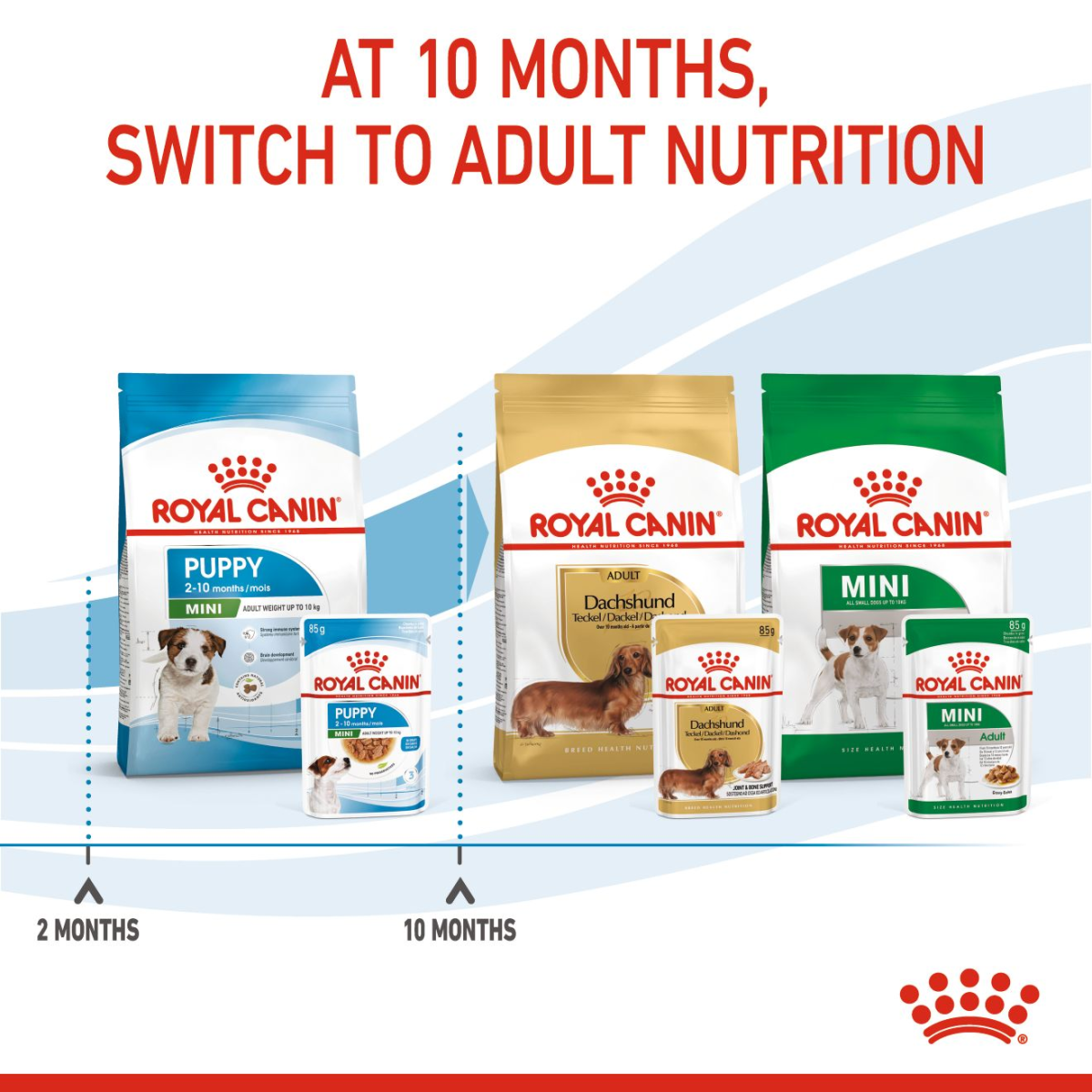 Size Health Nutrition Mini Puppy (WET FOOD - Pouches) 12 x 85g