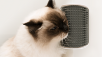 Thumbnail for Catit Senses 2.0 Self Groomer