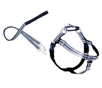 Thumbnail for REFLECTIVE FREEDOM NO-PULL HARNESS AND LEASH - BLACK / SMALL