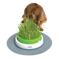 Thumbnail for Catit Senses 2.0 Grass Planter