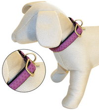 Thumbnail for Mylord Leatherette Adjustable Dog Collar 35-50 x 2 cm, Purple