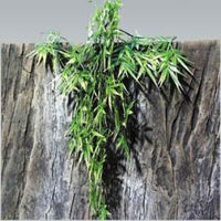 Thumbnail for JBL TerraPlanta Madagascan Bamboo - S