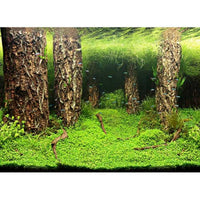 Thumbnail for Photo Background Scaper's Hill/Scaper's Forest 120x50 cm