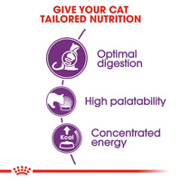 Thumbnail for Feline Health Nutrition Sensible 2 KG