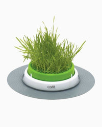 Thumbnail for Catit Senses 2.0 Grass Planter