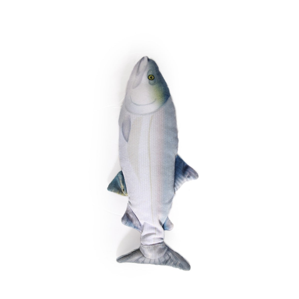 Jittering Fish Sardine