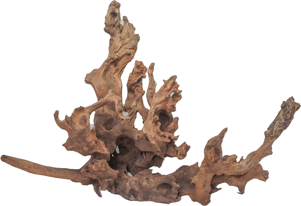 Drift Wood - XL / 50-80cm / pc