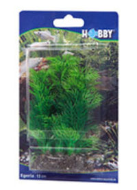 Thumbnail for Artificial plant - Egeria 13 cm