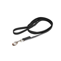 Thumbnail for Color & Gray with handle leash - Black-Gray / Width 2 cm & Length 2 meter