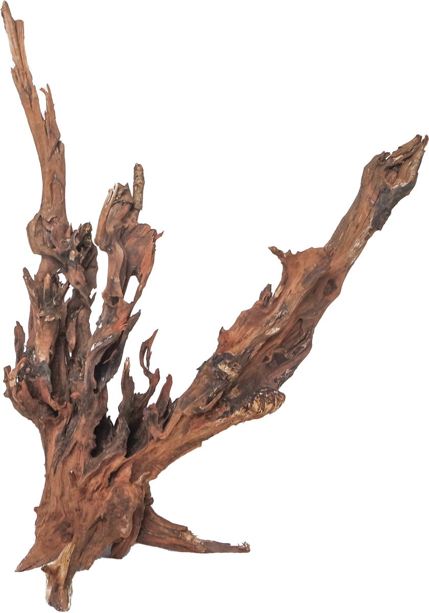 Drift Wood - XL / 50-80cm / pc