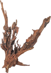 Thumbnail for Drift Wood - XL / 50-80cm / pc