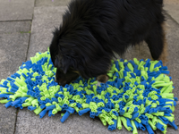 Thumbnail for Interactive Sniffing Mat - Connect