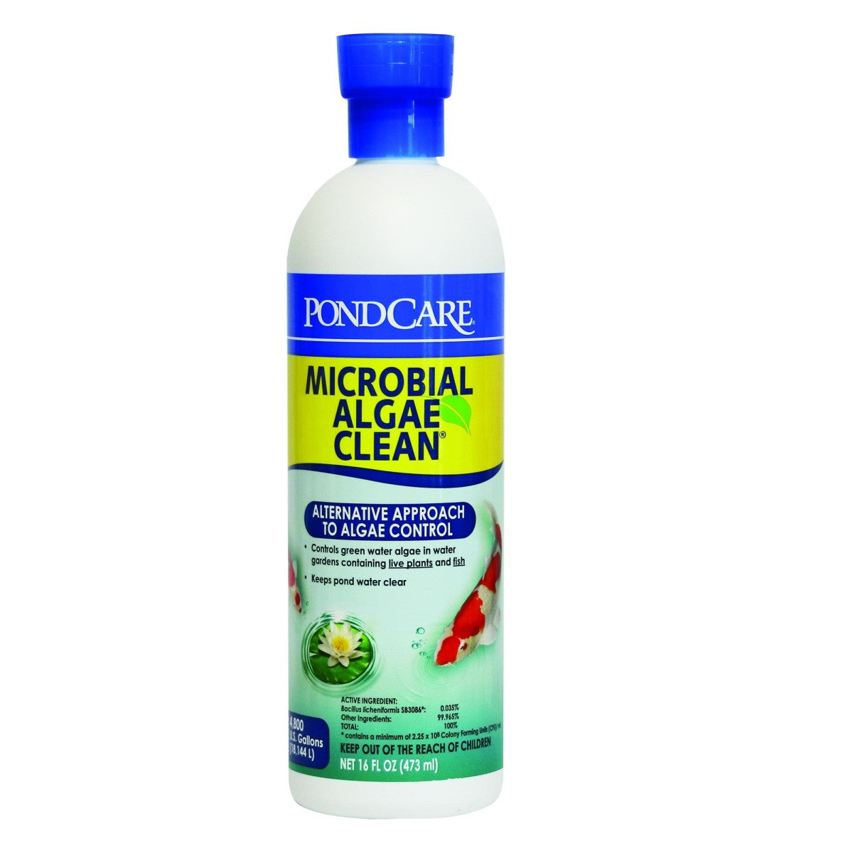 API Pond Microbial Algae Clean, 16 OZ