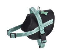 Thumbnail for Easy Safe Harness - Lagon / L