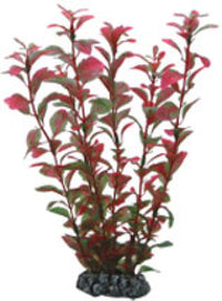 Thumbnail for Artificial plant - Ludwigia 25 cm