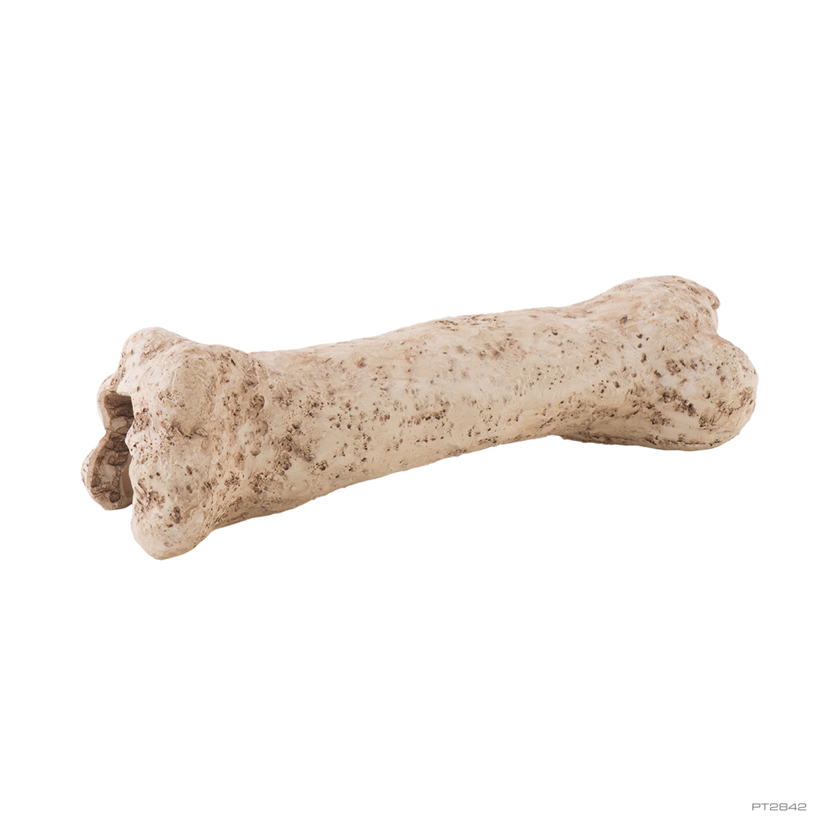 Exo Terra Dinosaur Bone