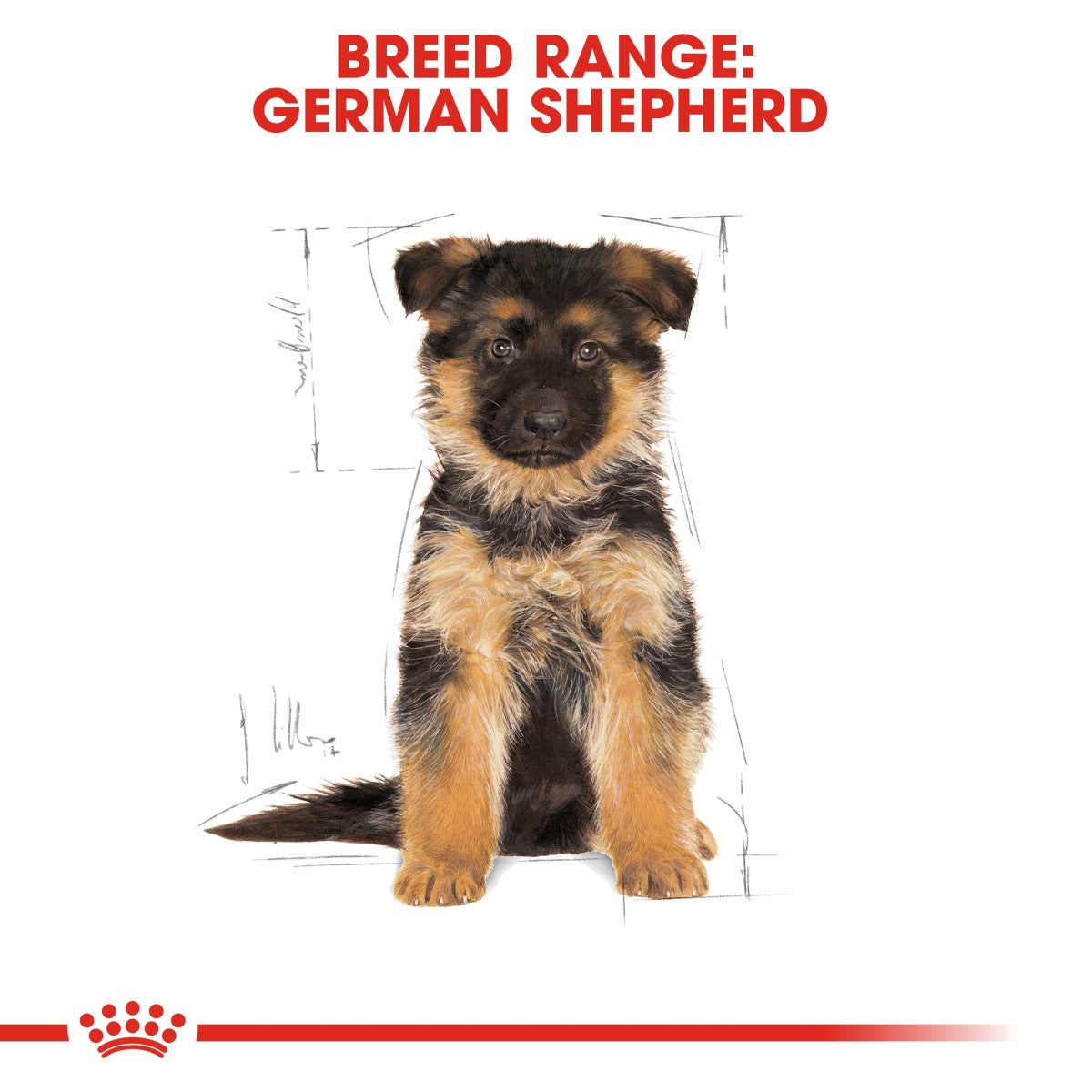 Breed Health Nutrition German Shepherd Puppy 12 KG